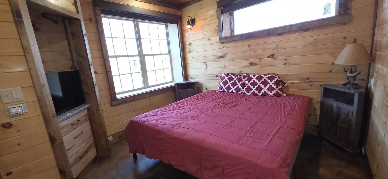 Birds Perch Bluebird