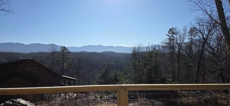 Birds Perch Bluebird