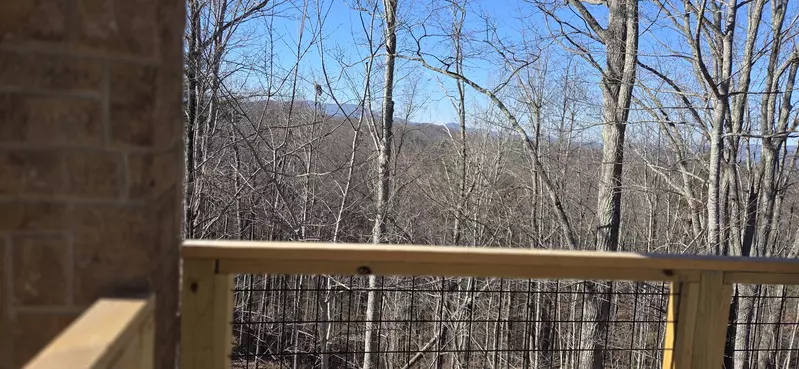 Birds Perch Bluebird