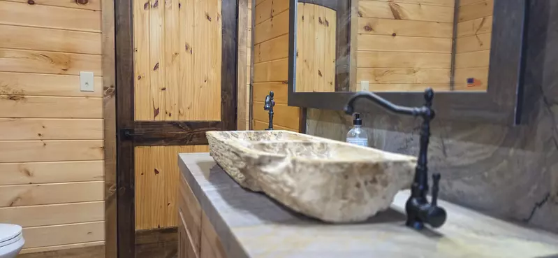 Birds Perch Bluebird