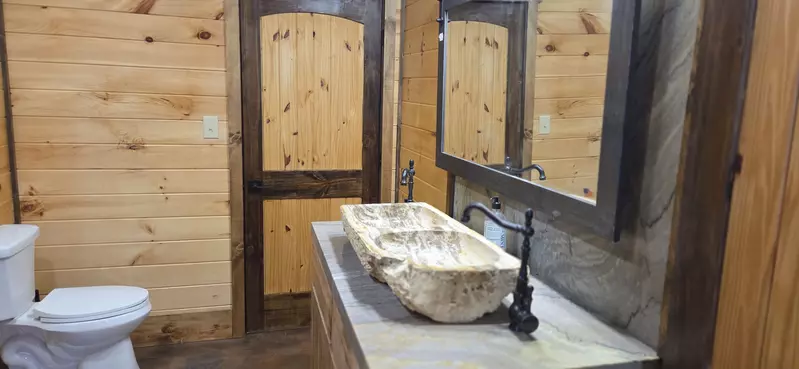 Birds Perch Bluebird