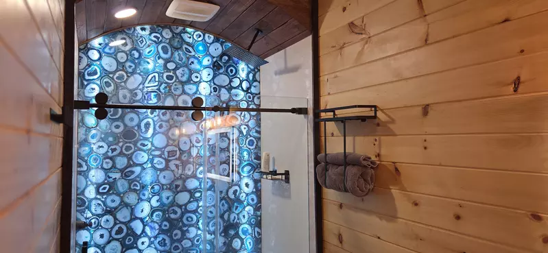 Birds Perch Bluebird