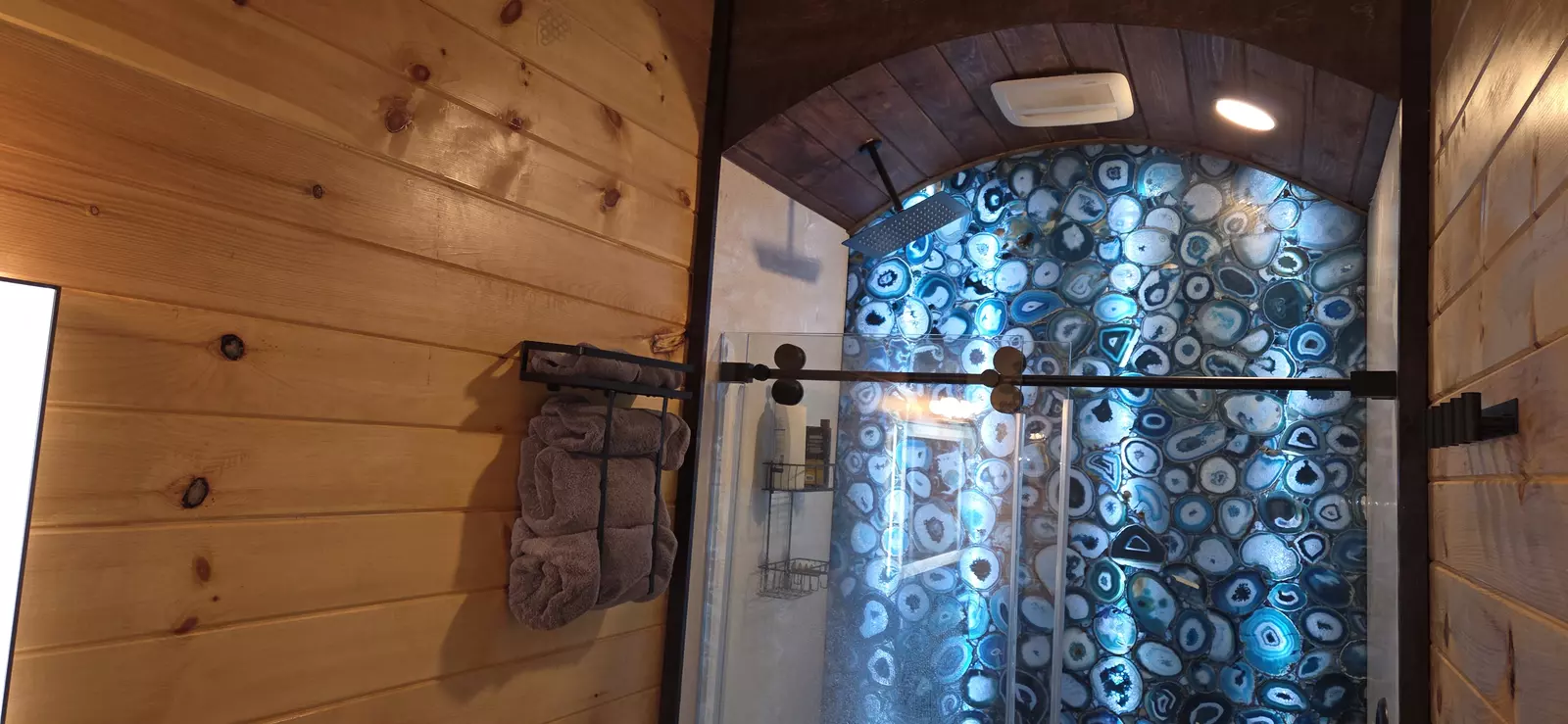 Birds Perch Bluebird