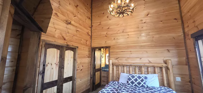 Birds Perch Bluebird