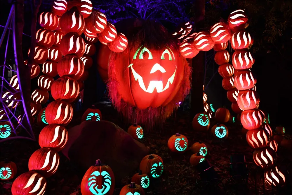 spider pumpkin structure at Dollywood's Harvest Festival