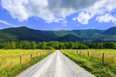 Cades Cove road