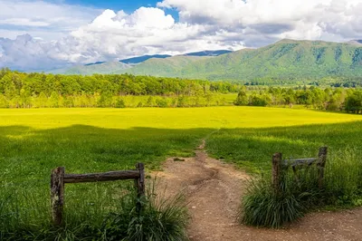 Cades Cove
