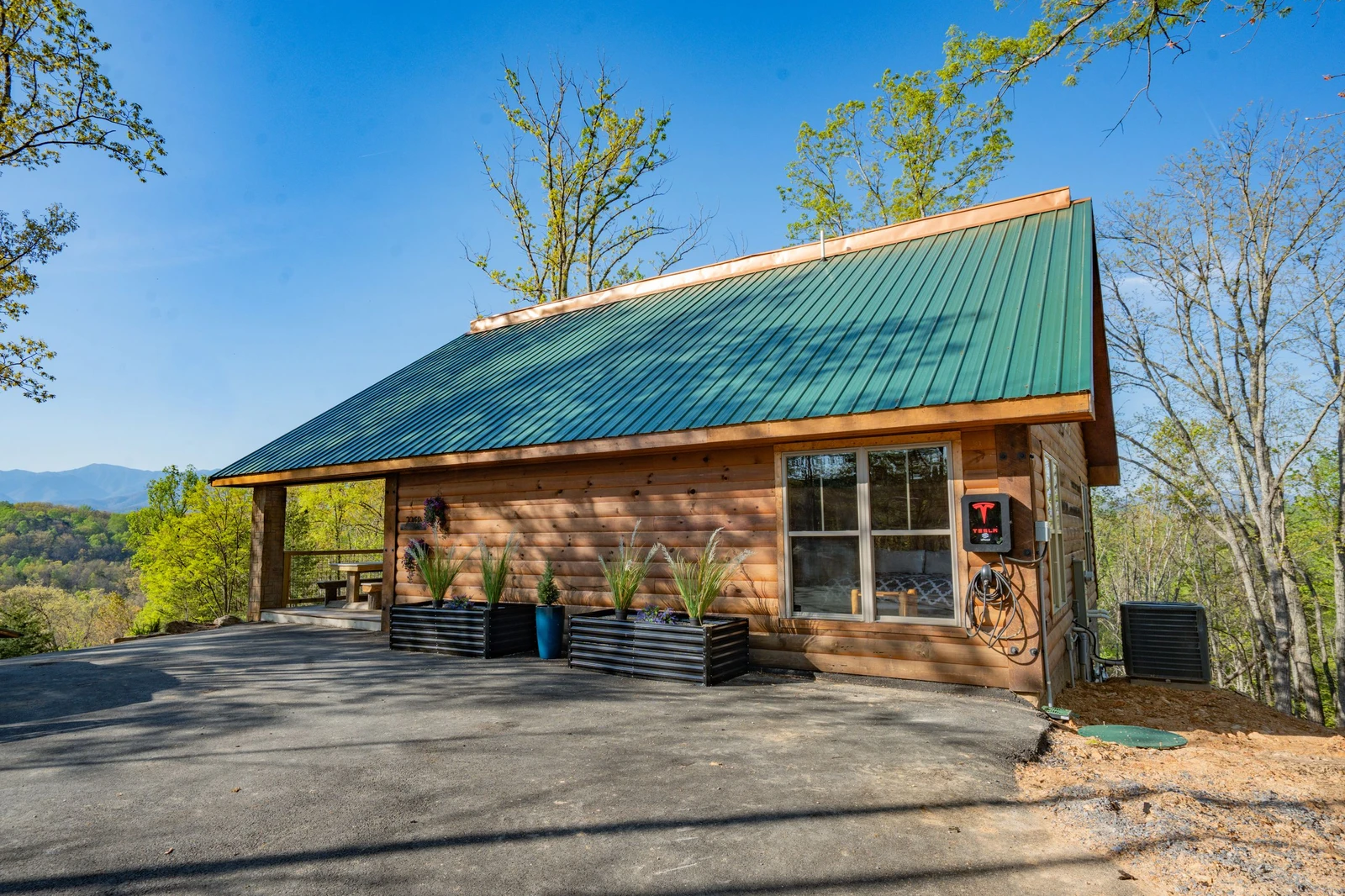 Birds Perch Bluebird