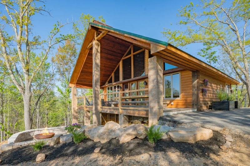 Birds Perch Bluebird