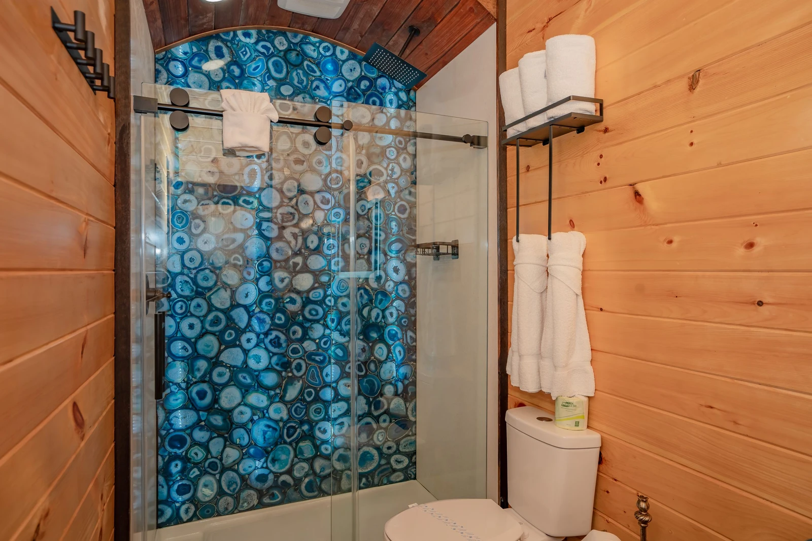 Birds Perch Bluebird