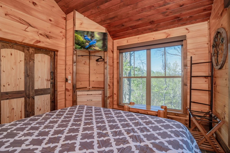 Birds Perch Bluebird