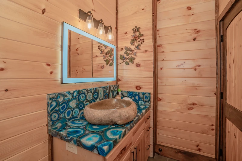 Birds Perch Bluebird