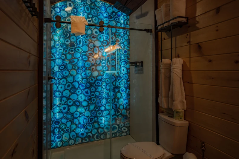 Birds Perch Bluebird