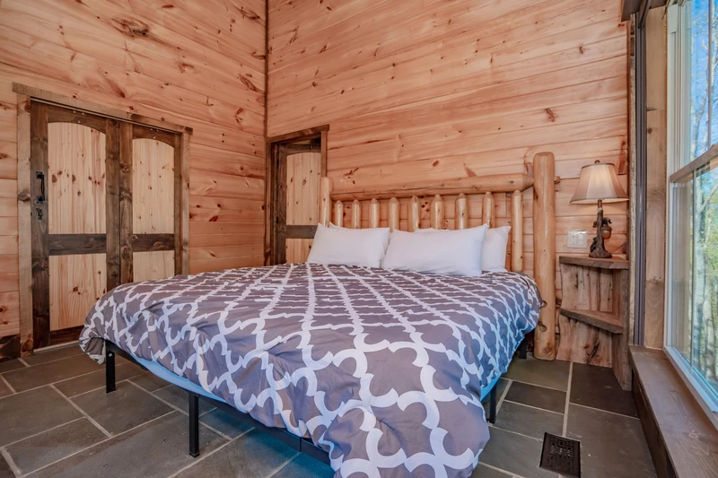 Birds Perch Bluebird