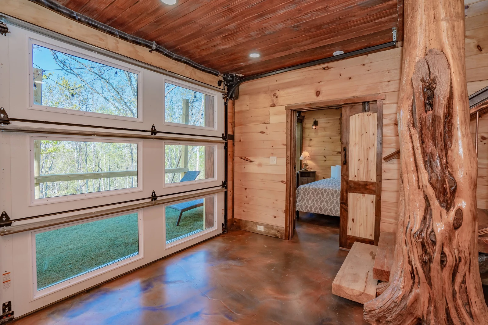 Birds Perch Bluebird