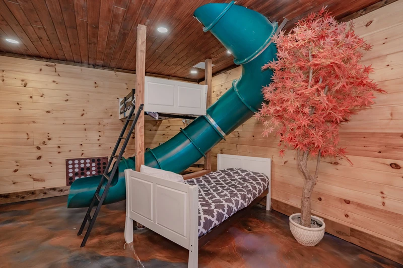 Birds Perch Bluebird