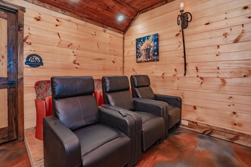 Birds Perch Bluebird