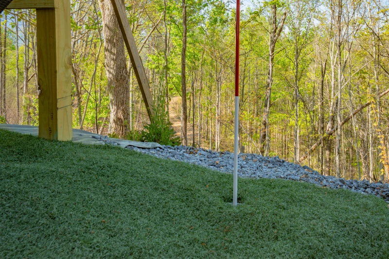 Birds Perch Bluebird