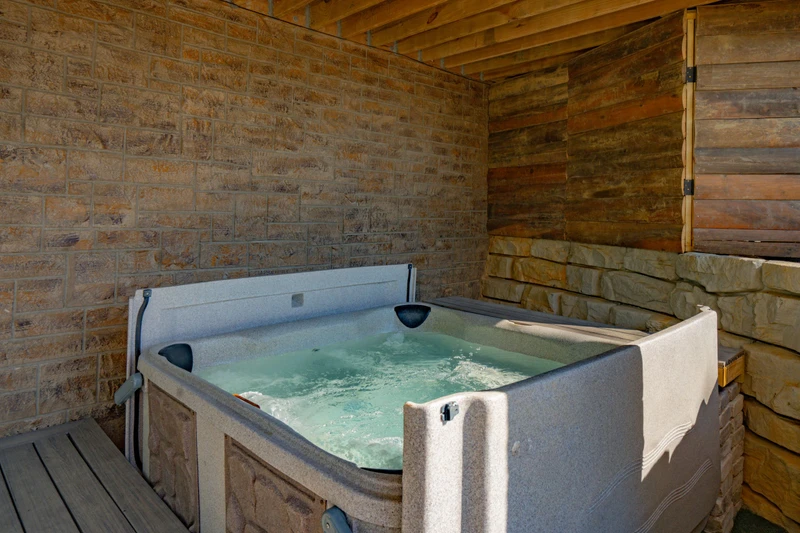 Birds Perch Bluebird