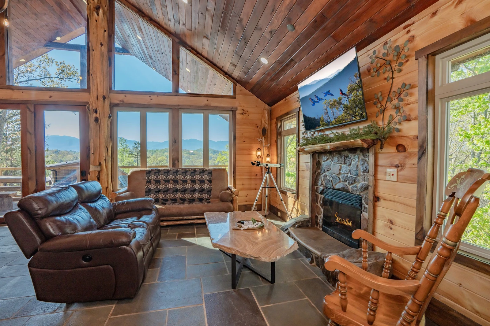 Birds Perch Bluebird