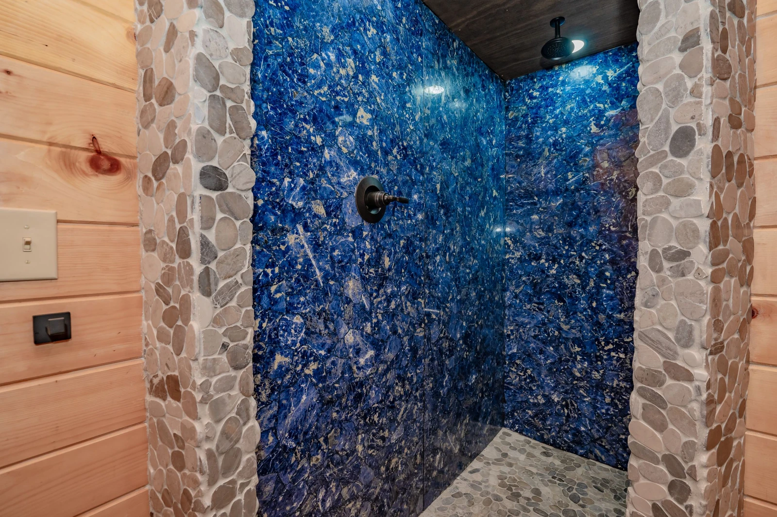 Birds Perch Bluebird