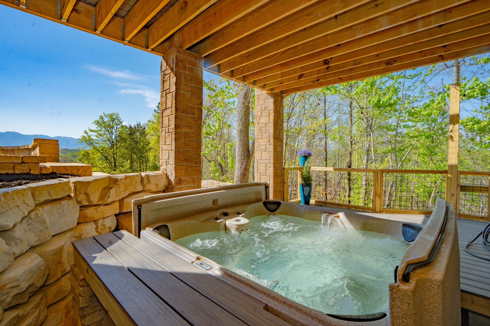 Birds Perch Bluebird