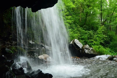 grotto falls
