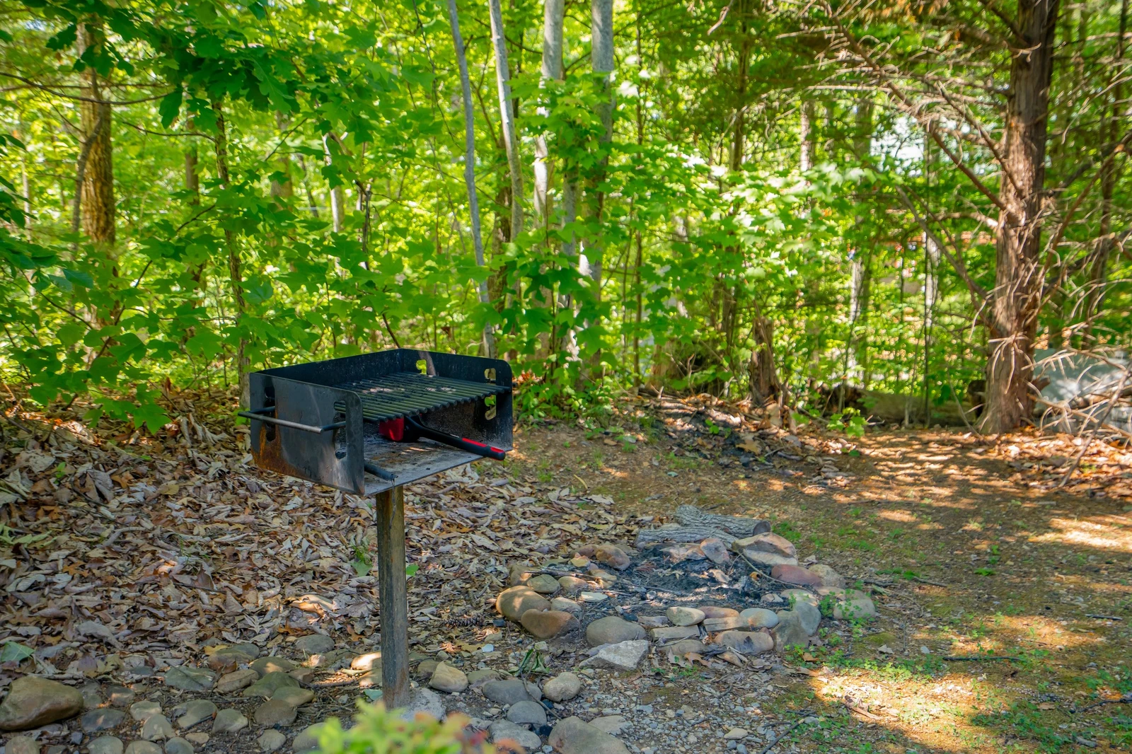 The Swimming Hole