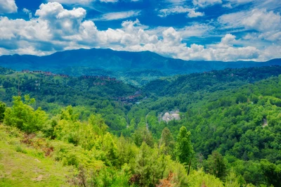 Mountain Top LeConte