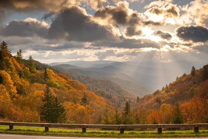 smoky mountains fall foliage on newfound gap road