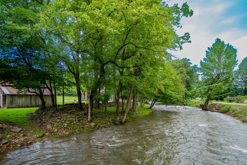 Quaint Cabin on Cosby Creek