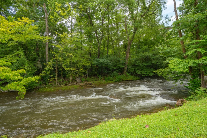 Quaint Cabin on Cosby Creek