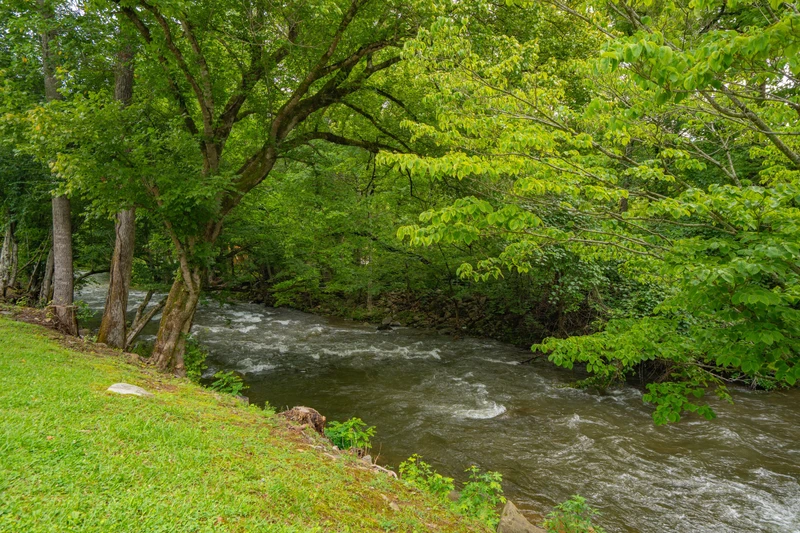 Quaint Cabin on Cosby Creek