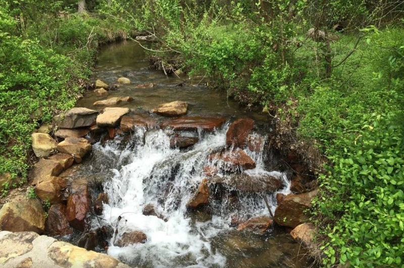 Peaceful Creek