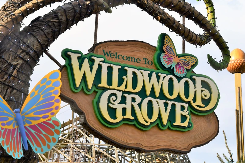 new dollywood nightflight expedition at wildwood grove