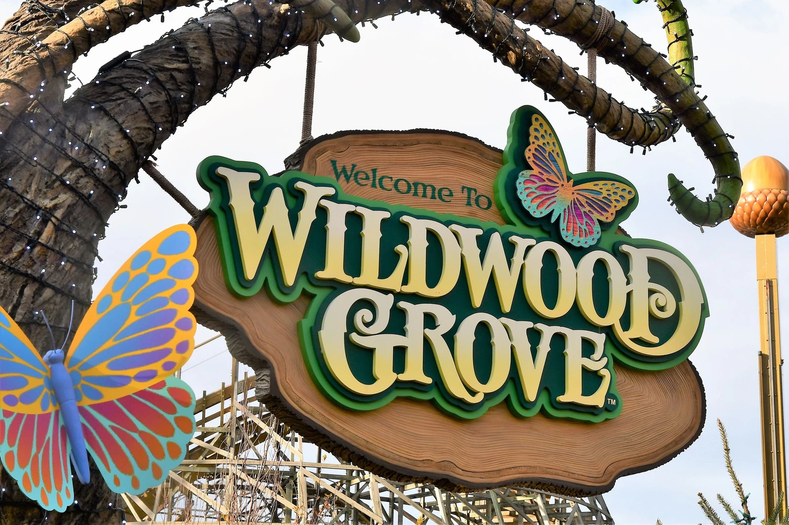 new dollywood nightflight expedition at wildwood grove