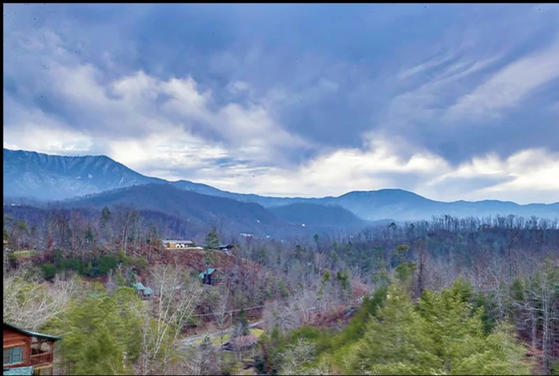 Elizabeth's View