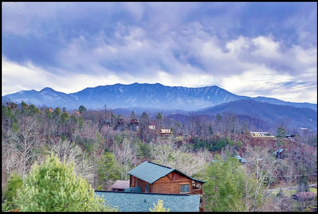 Elizabeth's View